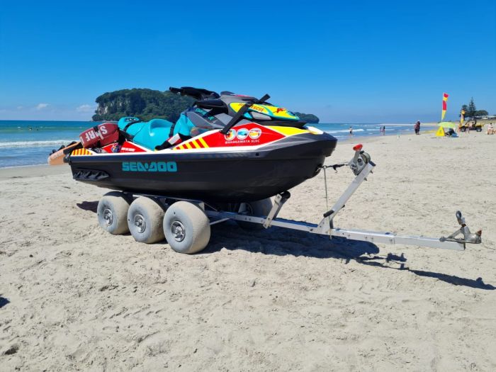 Wheeleez® PWC Dolly 36 - Image 3