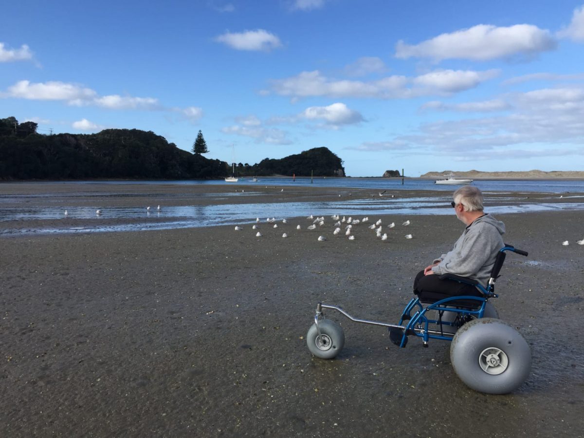 WheelEEZ® All-Terrain/ Beach Wheelchair Conversion Kits